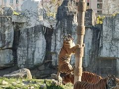 -上海野生动物园