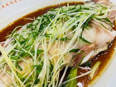 东星斑-凤城礼记鱼翅海鲜酒家(新马路总店)