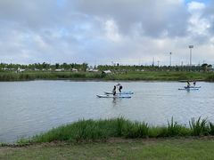 -春花秋色城市公园