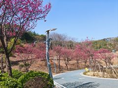-长乐南山公园