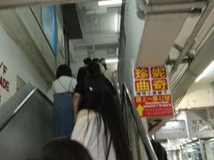 -珍妮曲奇聪明小熊(尖沙咀店)