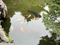 -胡雪岩故居