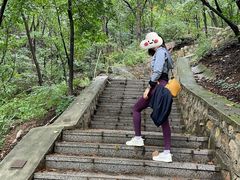 -大岭沟猕猴桃谷风景区