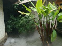 -厦门日月谷温泉渡假村