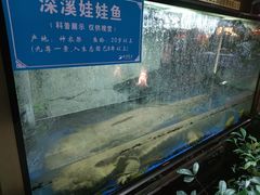-九尊食上(生态园林酒店)