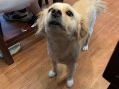 -元氏钵仔糕(北京路店)