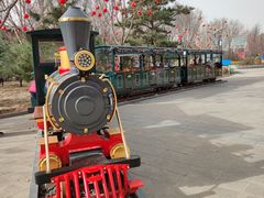 -南宫五洲植物乐园