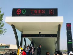 -丁香湖公园