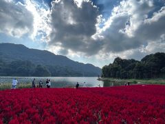 -广州市石门国家森林公园