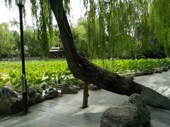 -莲湖公园