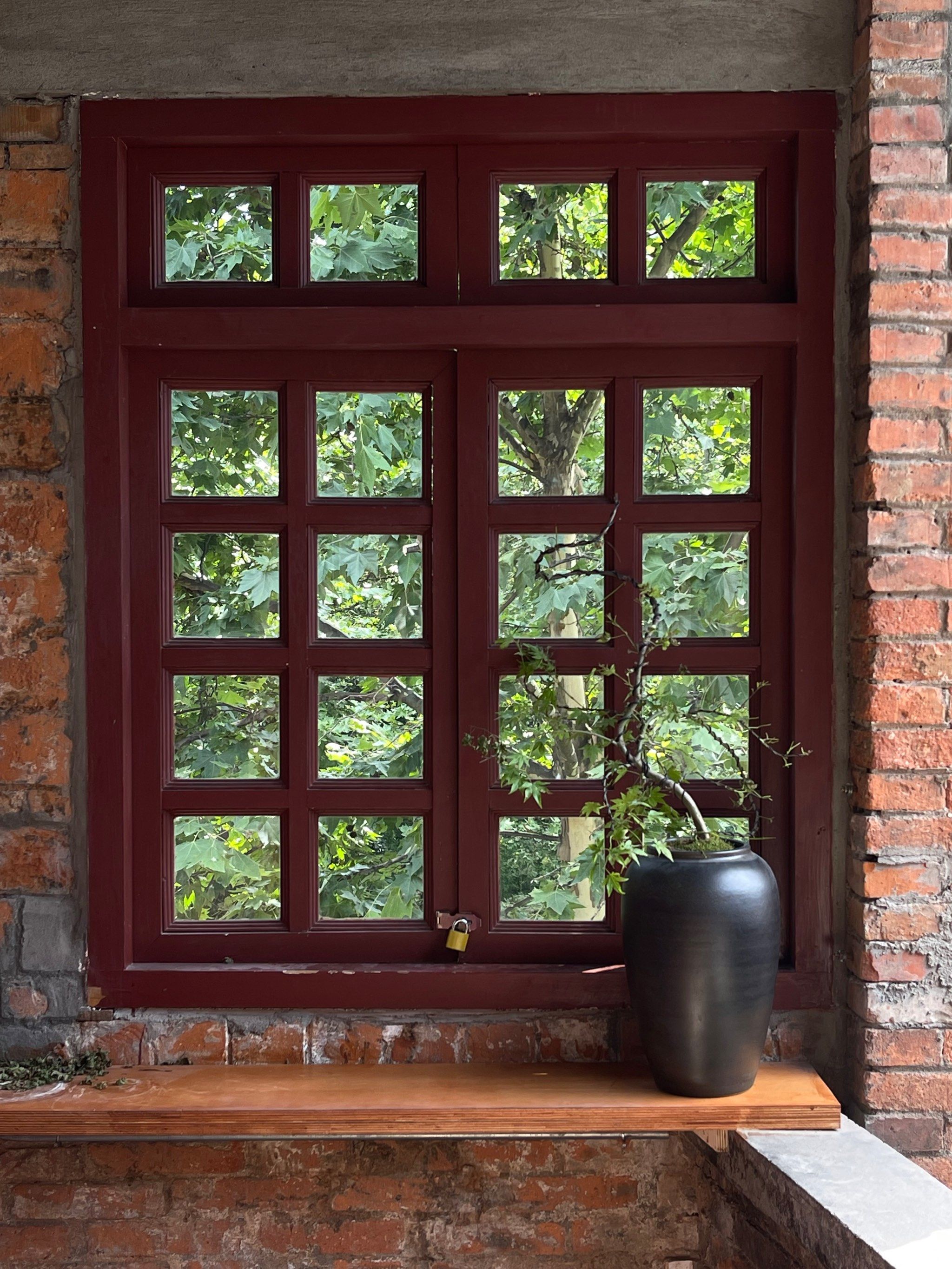 据说是成都最美的一扇窗户