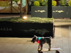 -吴山路夜市