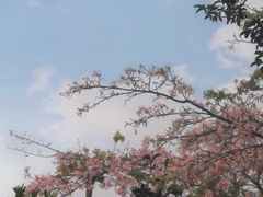 -厦门园林博览苑