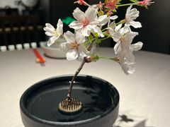 -老头儿油爆虾(星光一期店)