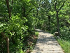 -金龙寺国家森林公园