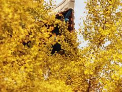 -四川大学(华西校区)