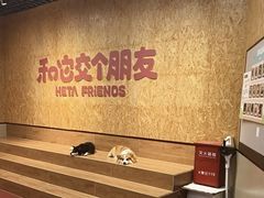 -和它·交个朋友·狗咖猫咖(爱琴海店)
