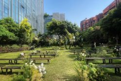 -成都世外桃源酒店-宴会厅·草坪婚礼·会议活动