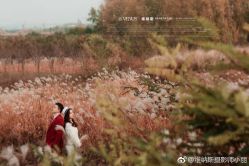 点击看大图 -维纳斯婚纱摄影(鞍山店)
