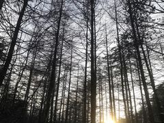 -秦岭风景区