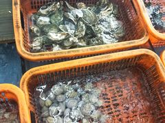 -双月饭店·20年老字号(新村店)