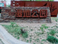 -东郊湿地公园