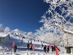 -凤凰山国家森林公园