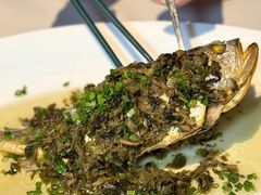 -顶特勒·黄鱼馆·特色菜(上海大世界店)