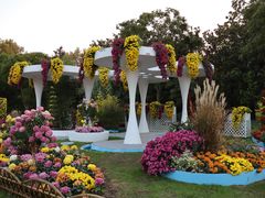 -上海共青森林公园