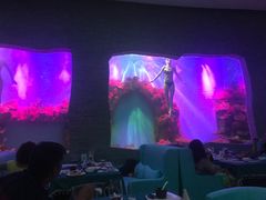 -瑞德姆美人鱼海底演艺主题餐厅(亚龙湾店)