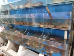 -宾朋海鲜特色美食餐厅·纯手工鲅鱼水饺(兴海路店)