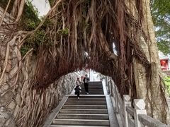 -乌山风景区