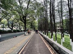 -岳麓山风景名胜区