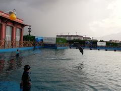 -三亚海昌梦幻海洋不夜城