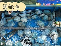 -海鲨湾海鲜会馆(百家湖1912店)