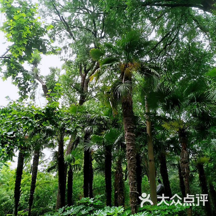 湖南路兴国路口街心花园