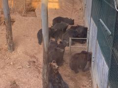 -泉州海丝野生动物世界