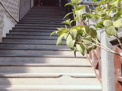 -食锦斋(塔头店)