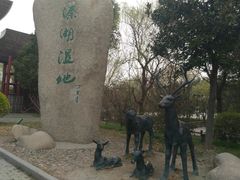 -溱湖国家湿地公园