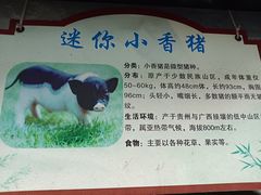 -汕尾铜鼎山旅游区