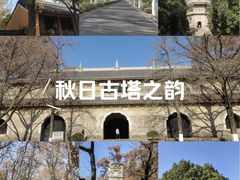 -灵谷景区