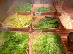 -牛New寿喜烧(金鹰世界店)