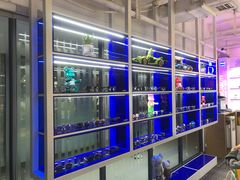 -鲸渝眼镜·浅目视光(春熙路店)