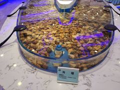 -澜悦港海鲜体验主题餐厅