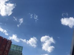 -比格比萨自助(宋家庄店)