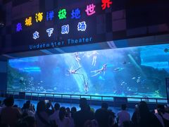 -泉城欧乐堡海洋极地世界