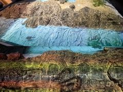-白鹤梁水下博物馆