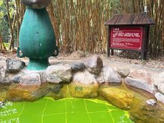 -森波拉火山温泉