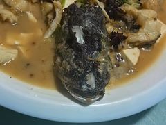 -煲来饱去冷水鱼