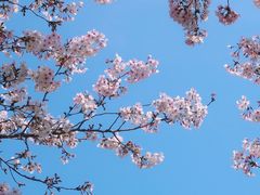 -龙寺生态园